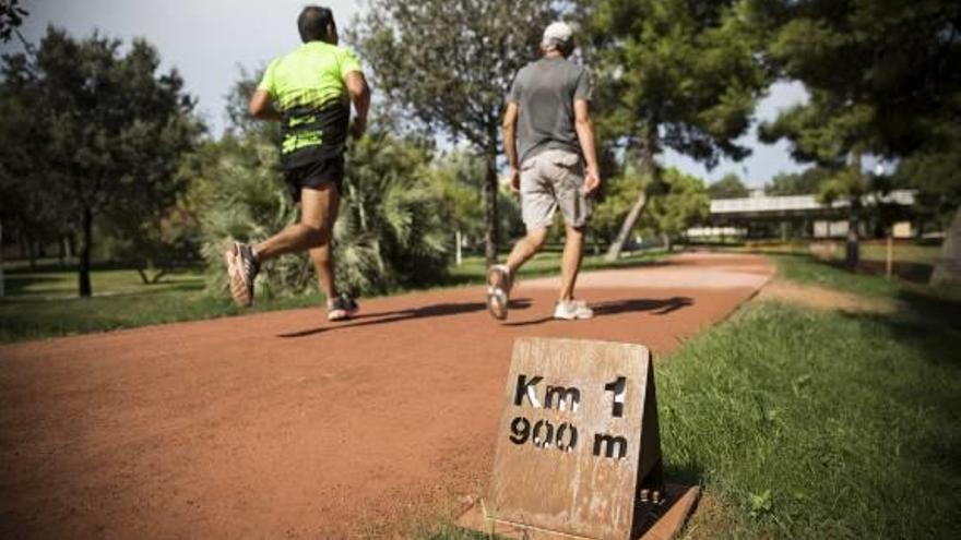 Del crucero a las pistas del 5K