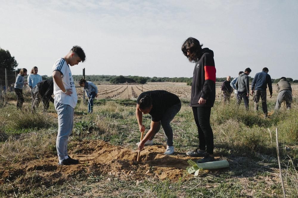 Plantación de especies autóctonas de alumnos del IES Mare Nostrum el día del arbol en el parque natural de las lagunas