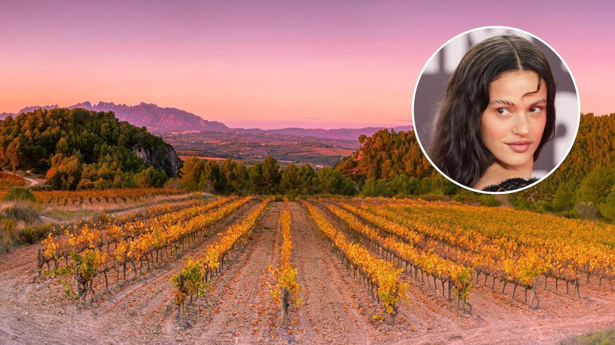 Esta impresionante región recoge paisajes como la extensión vitivinícola del Penedès, Denominación de Origen.