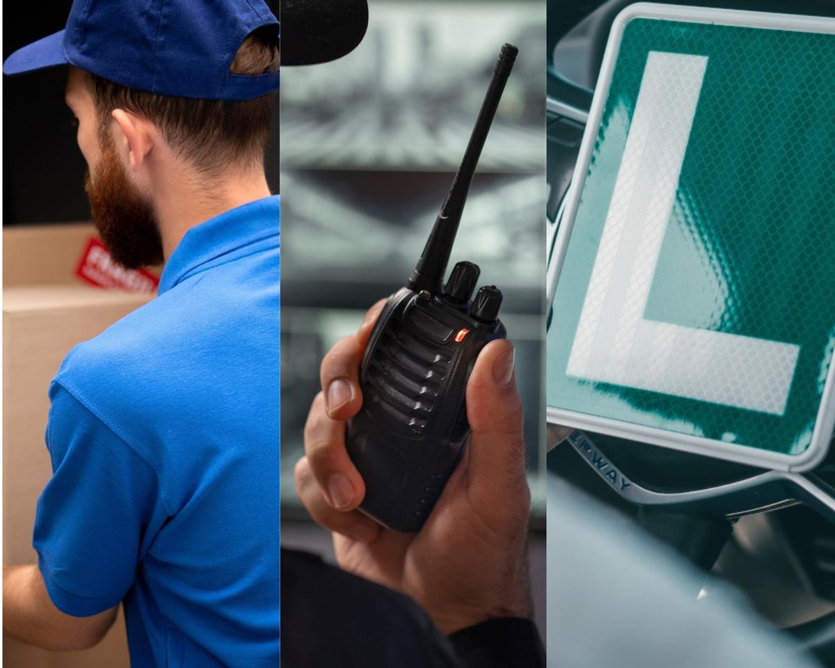 Collage de fotos con las FP con más salida en el Alto y Medio Vinalopó.