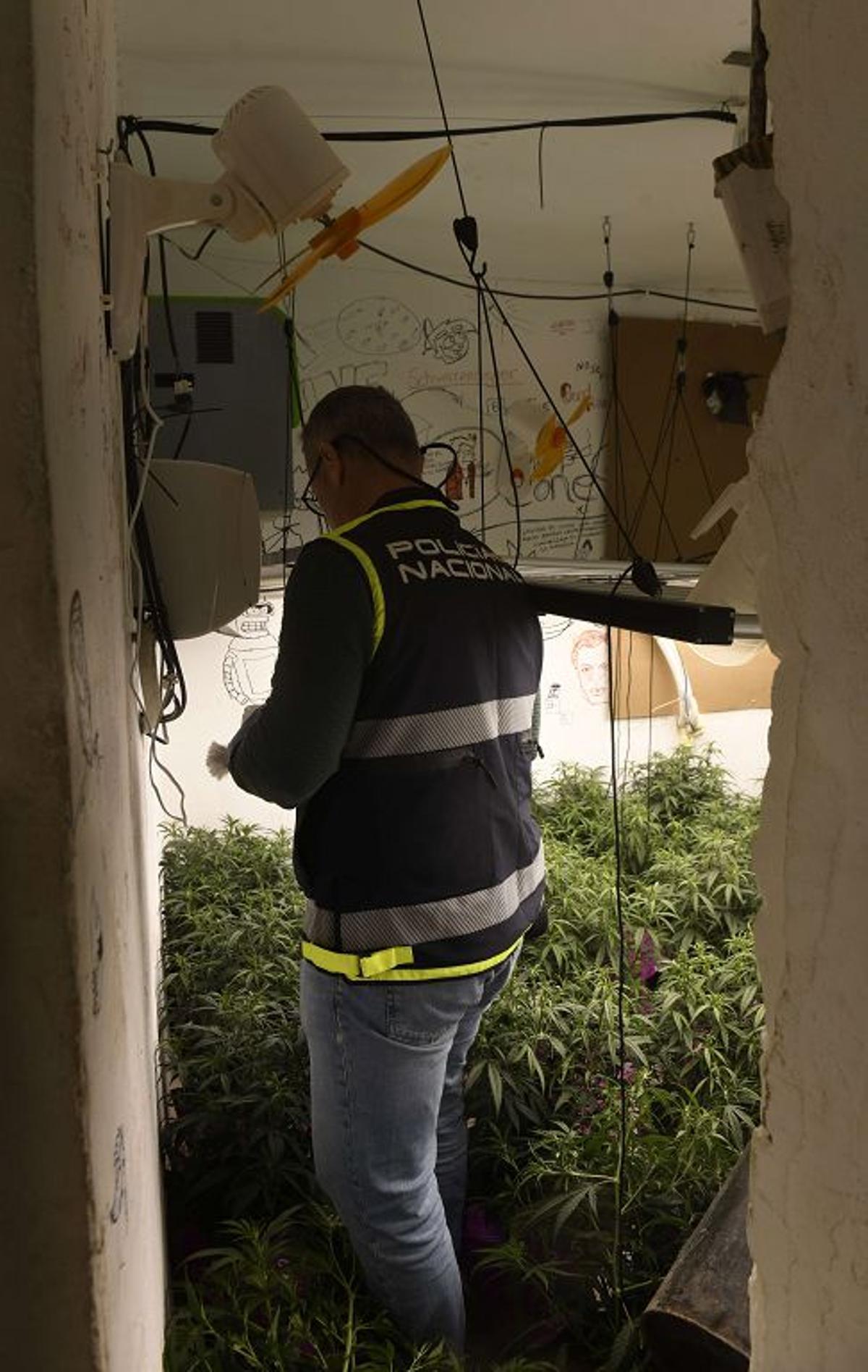 Las imágenes de la redada contra el narcotráfico en el Polígono de La Paz en Murcia Las imágenes de la redada contra el narcotráfico en el Polígono de La Paz en Murcia