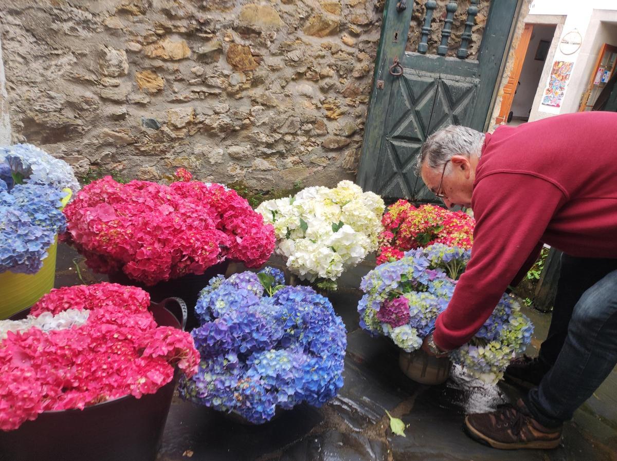 En imágenes: Castropol se llena de flores para el Corpus