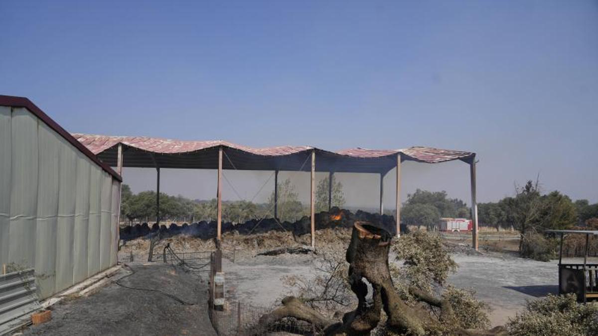 Daños del incendio en Arribes del Duero