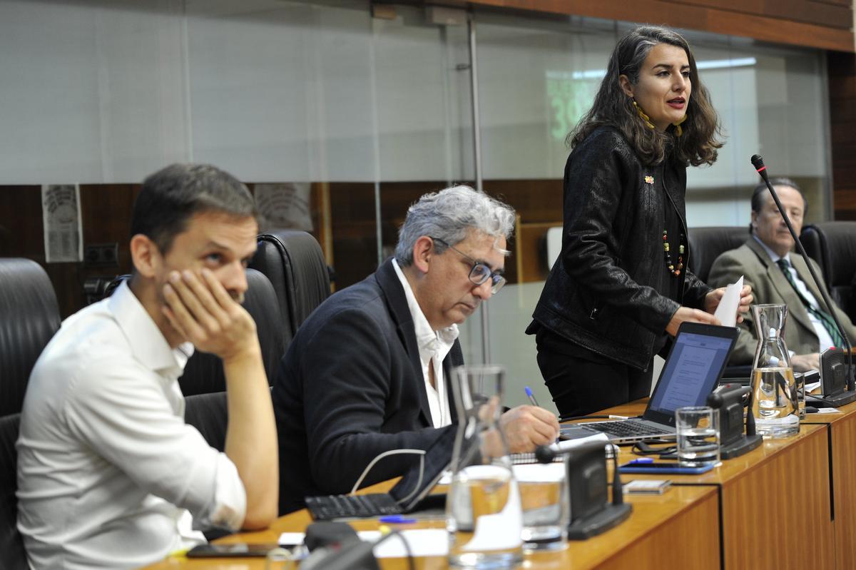 La portavoz de Unidas por Extremadura, Irene de Miguel, durante una intervención en el pleno.