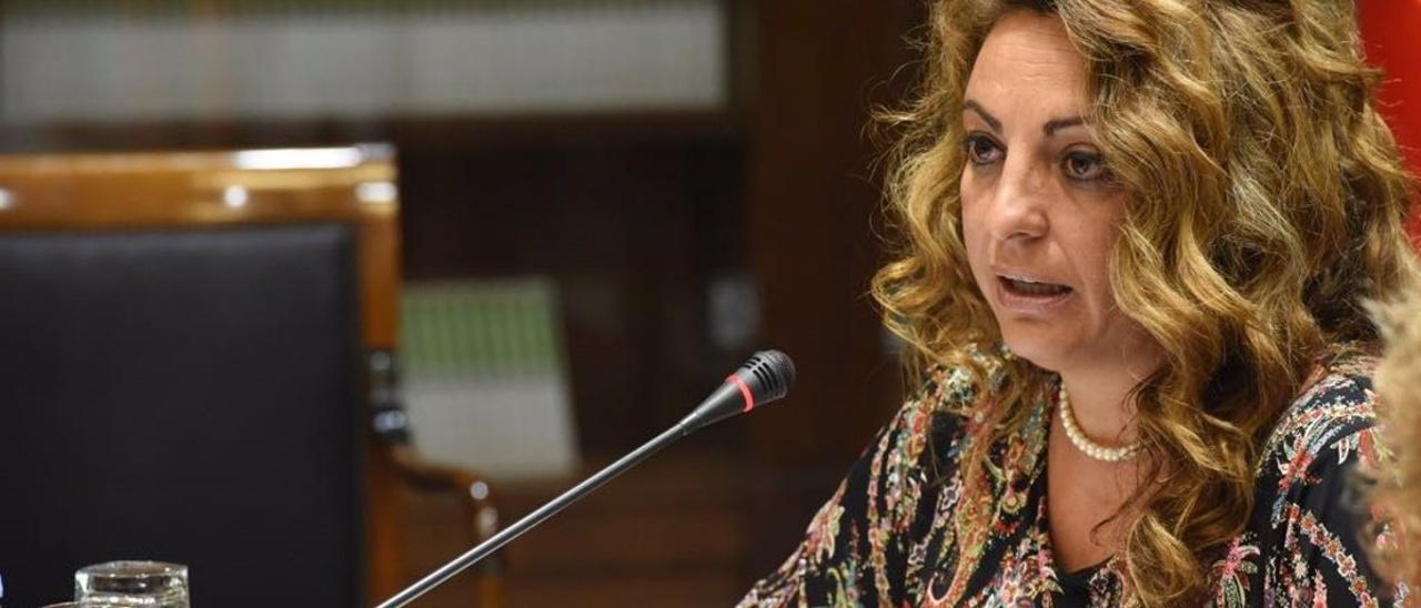 El nuevo órgano está presidido por Cristina Valido.