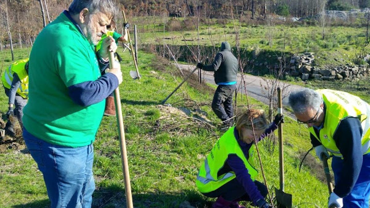 Carlos Alonso Comesaña (izq.) durante unos trabajos en el monte organizados por su compañeros comuneros