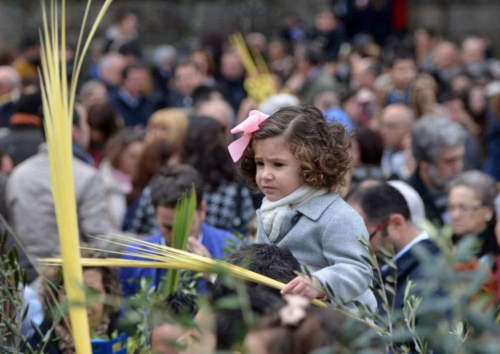 Semana Santa en Pontevedra 2016 | La Burrita recupera el recorrido entre la iglesias de San José y la escalinata de San Francisco