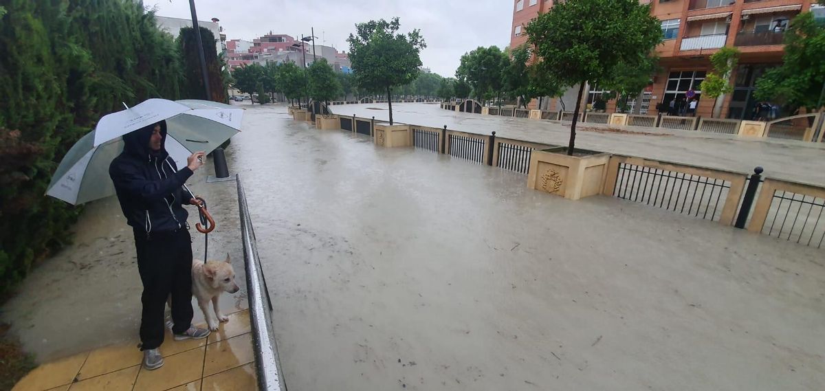 En directo | AEMET baja a nivel amarillo la alerta por lluvias en la provincia de Alicante para mañana