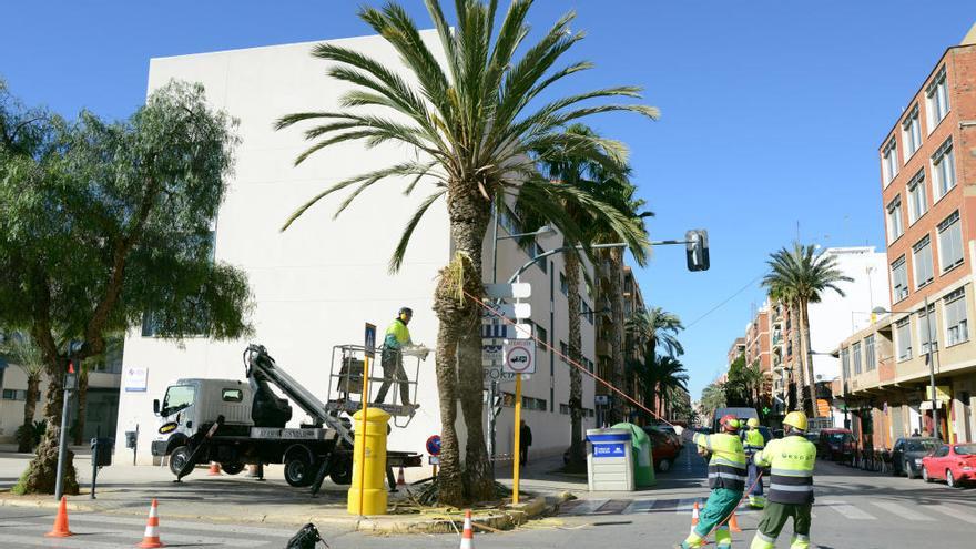 Los operarios trabajando en Paiporta