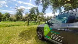 Innogestiona Ambiental: formación para liderar el cambio verde