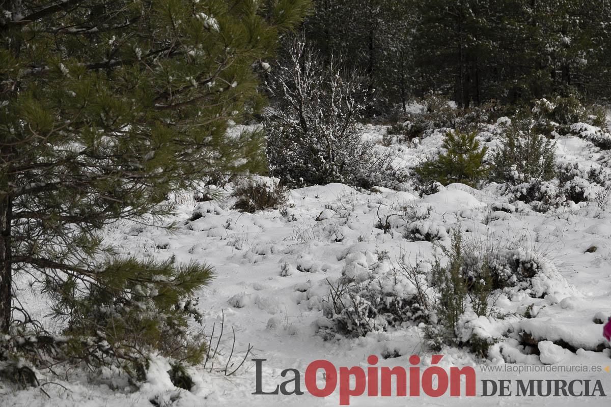 La borrasca Herminia tiñe de blanco la cima de la Región de Murcia
