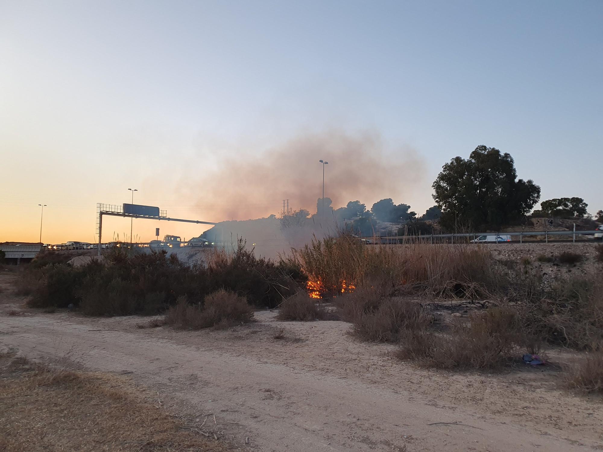 Los Bomberos de Alicante controla un fuego en un cañar junto a la autovía