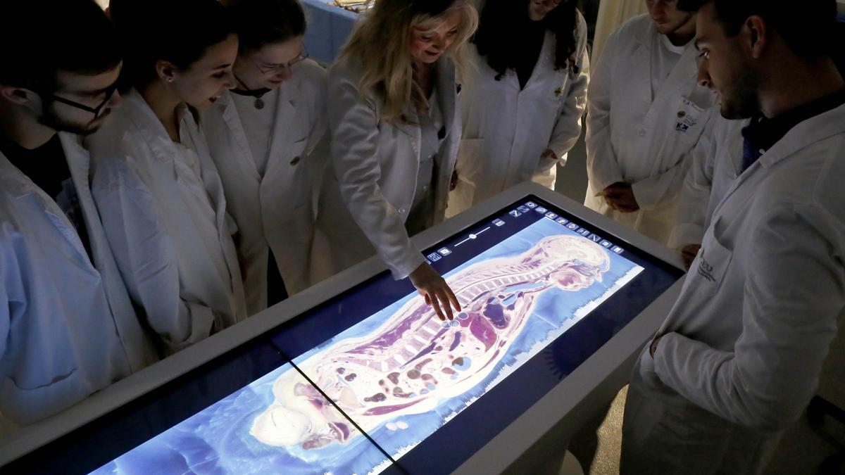 Mesa Anatomía Digital (1)