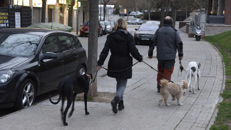 Sant Joan tindrà aquest any una nova zona d’esbarjo per a gossos