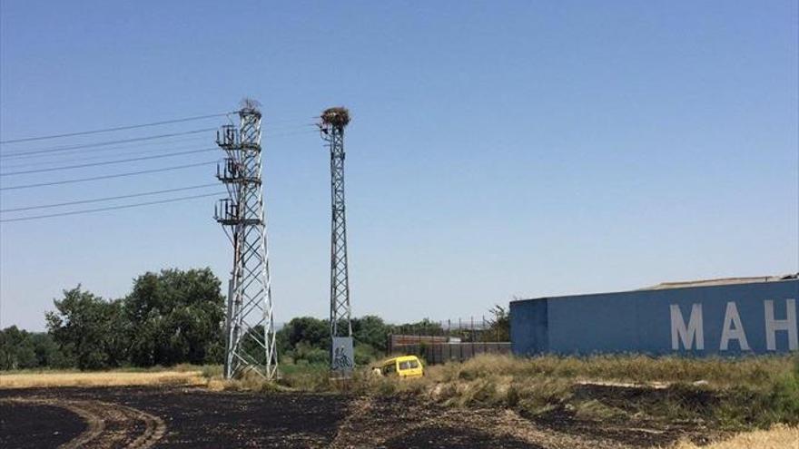 Una cigüeña se electrocuta y provoca un incendio