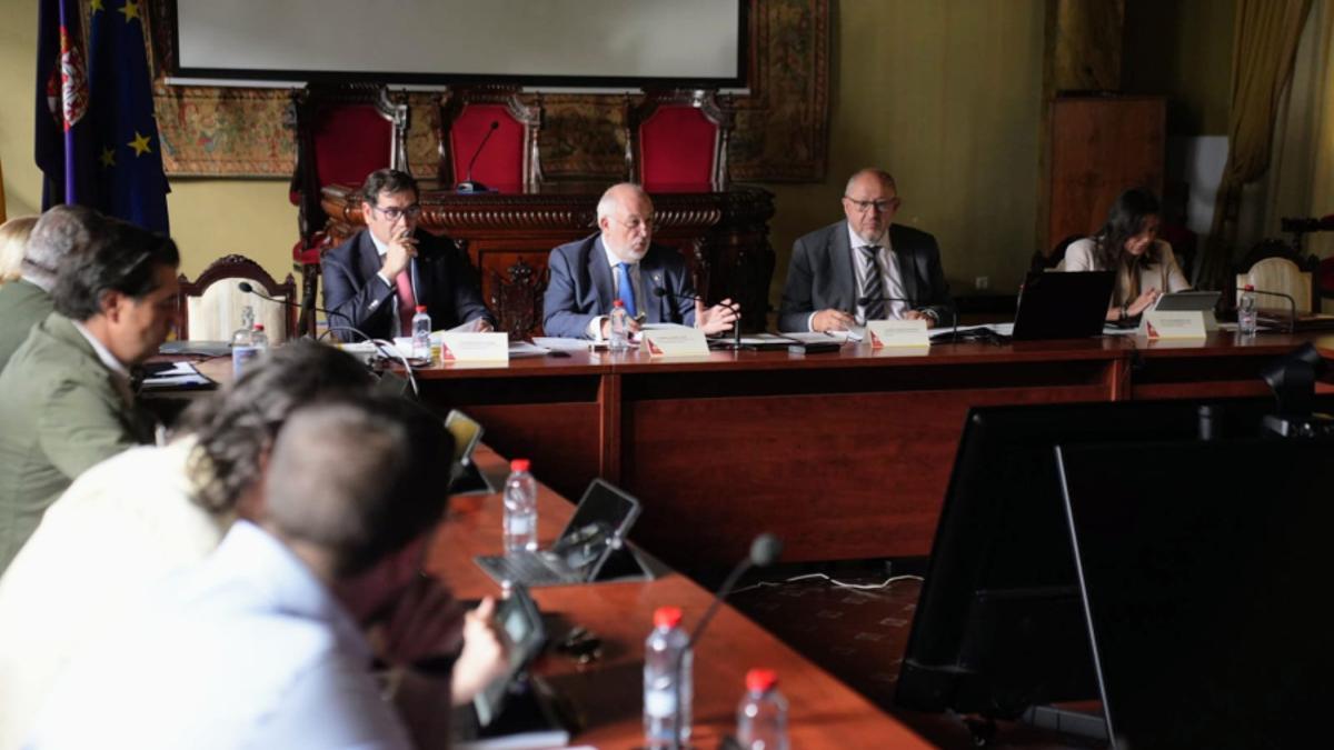 Pleno del Consejo Social celebrado en la tarde de este lunes.