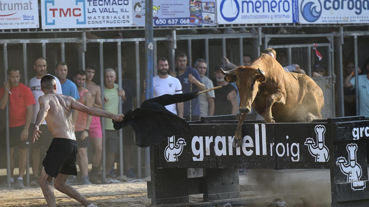 Primera participación en el concurso de les Penyes de la ganadería Hermanos Bellés