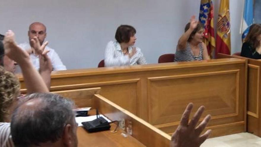 El pleno de Torrevieja aprueba la rebaja del IBI