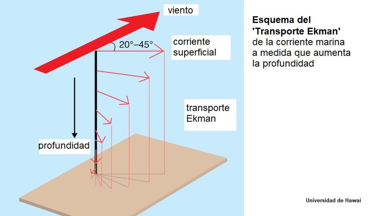 Transporte Ekman, según la profundidad