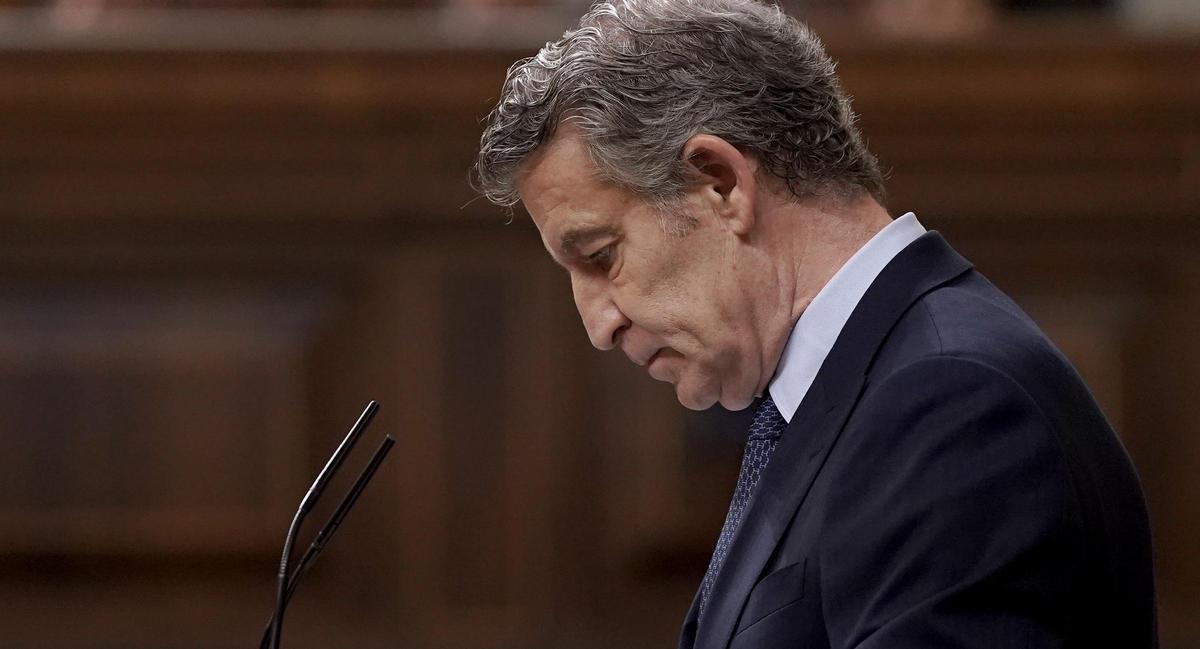 Alberto Núñez Feijóo, durante una comparecencia en el Congreso.