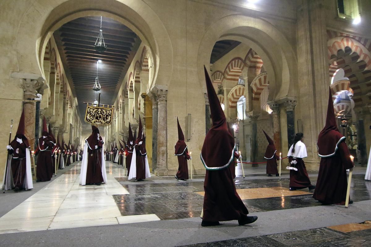 FOTOGALERÍA / Hermandad de la Piedad