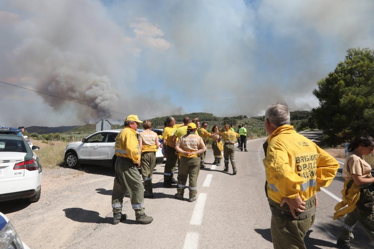 Incendio en la Serra Calderona