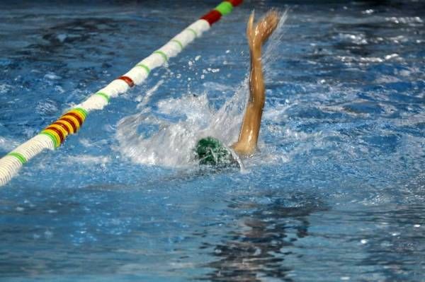 Trofeo San Silvestre El Olivar de natación