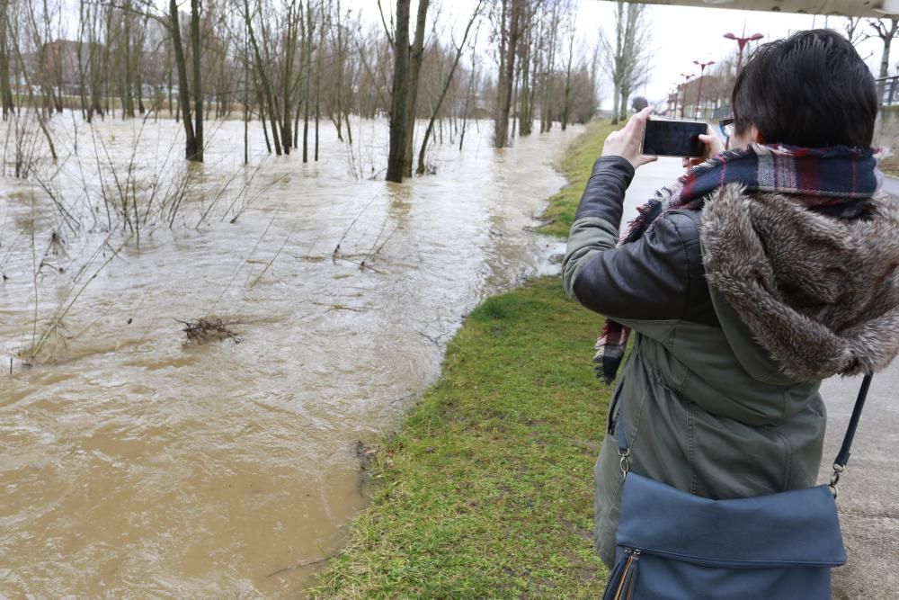 Alerta en Castilla y León por la crecida de ríos