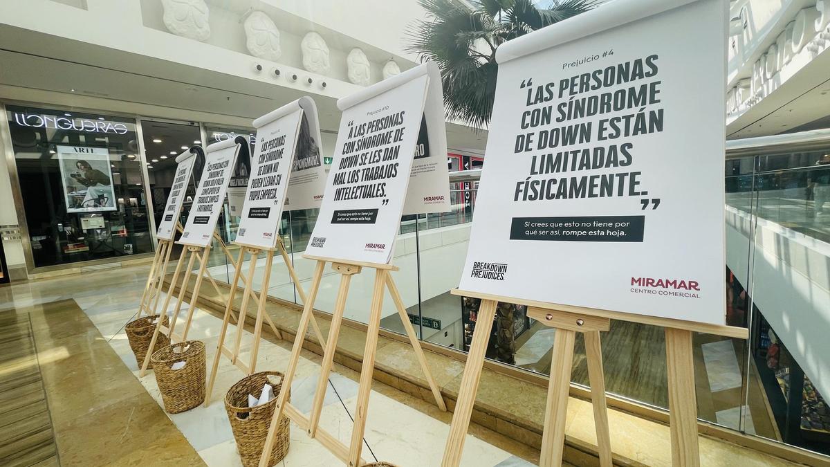 Foto exposición prejuicios Síndrome de Down