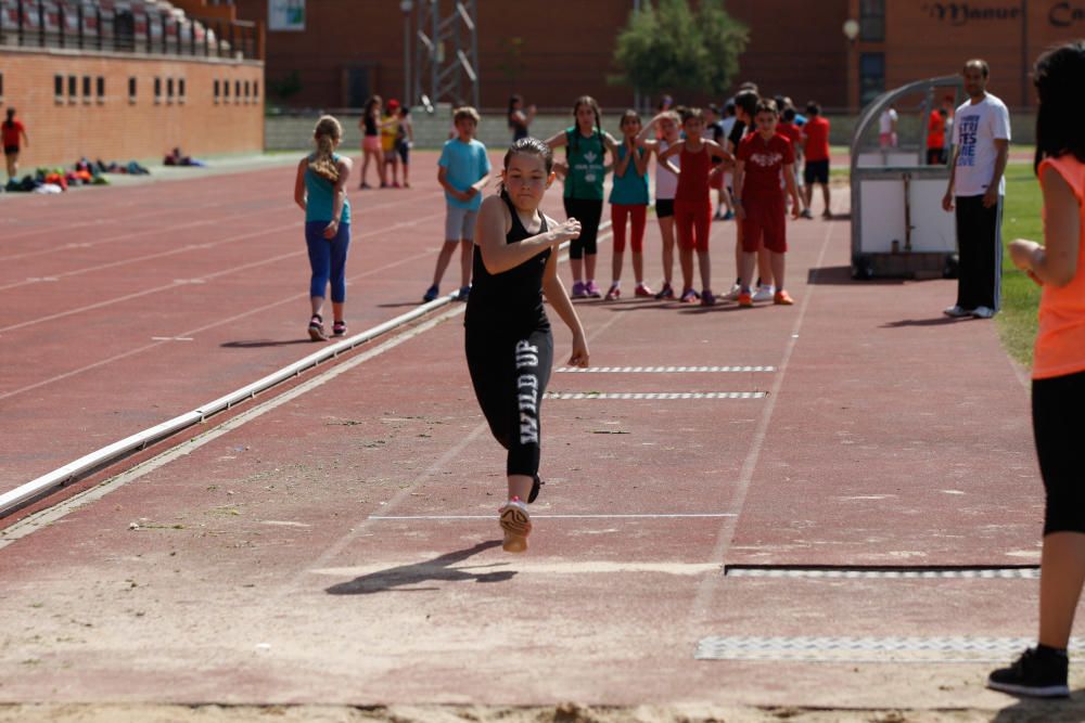 Olimpiadas colegio Sancho II