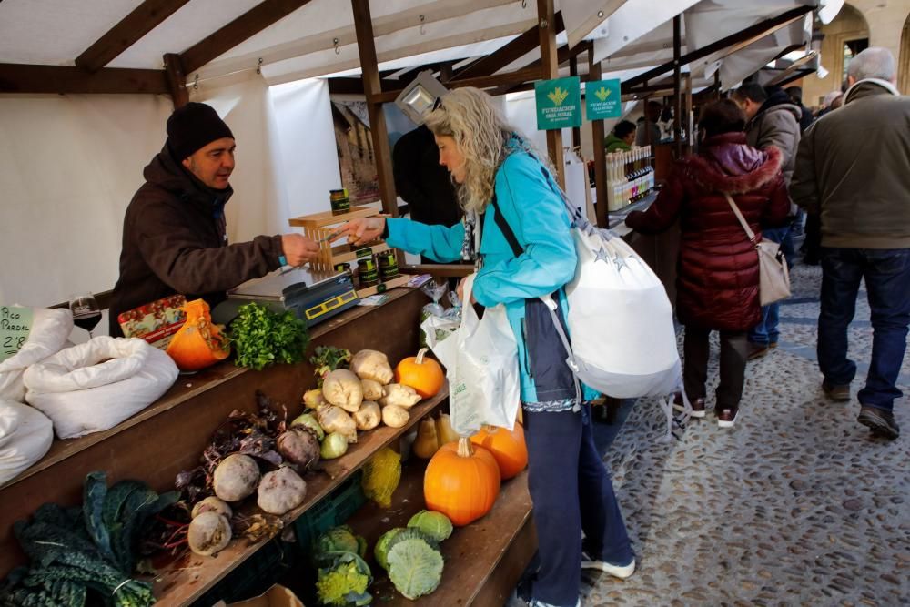 Reconocimiento del Mercado Ecológico de Gijón como Interés Turístico