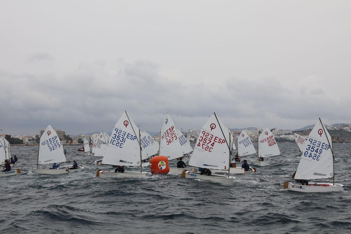 Varios competidores en el Campeonato Belar Optimist celebrado en la Marina de Ibiza.