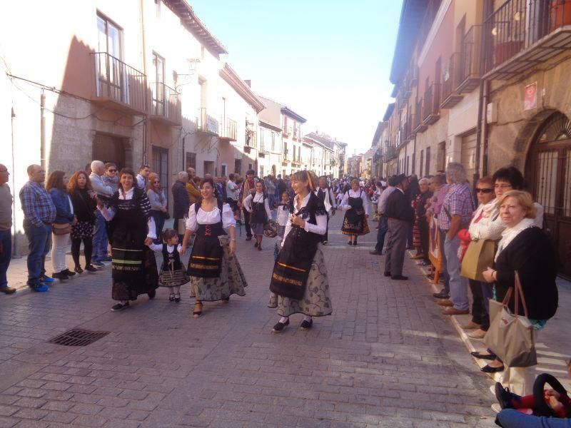 Desfile de carros en La Vendimia 2016 (Toro)