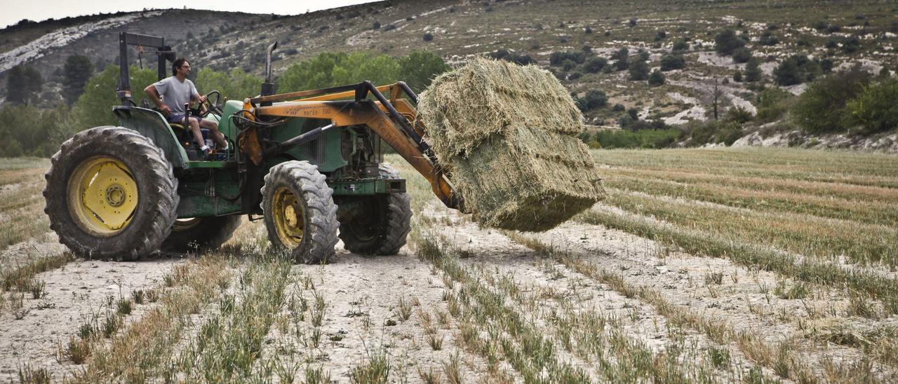 Los regantes advierten de que si se cierran acuíferos sin alternativa muchas tierras pasarán a ser de secano perdiendo su valor