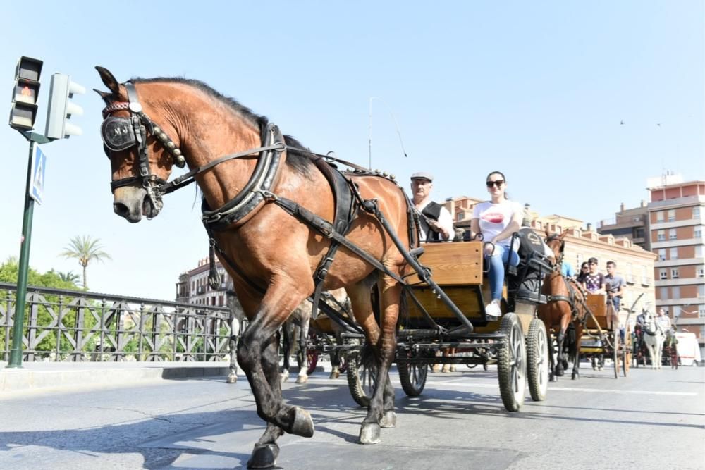 Ruta en carro al corazón de la Huerta