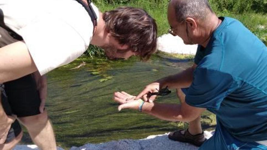 Zona del río Serpis examinada por los voluntarios.