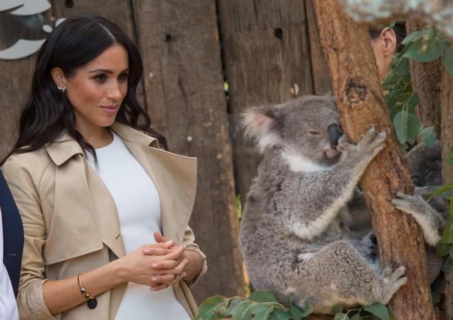 Los duques de Sussex visitan un zoo de Sydney