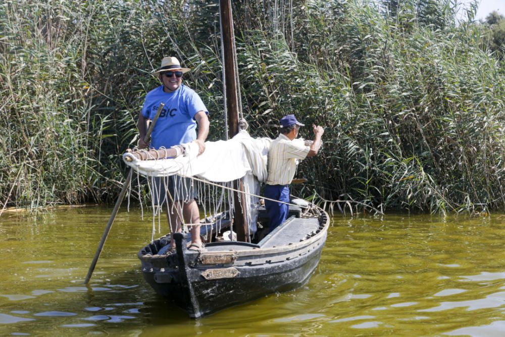 Regata-exhibición de vela latina en l'Albufera