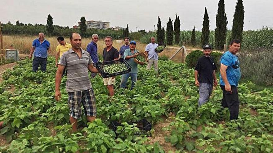 Usuaris dels horts urbans de Palafrugell cultiven verdures i les donen al Banc d&#039;Aliments