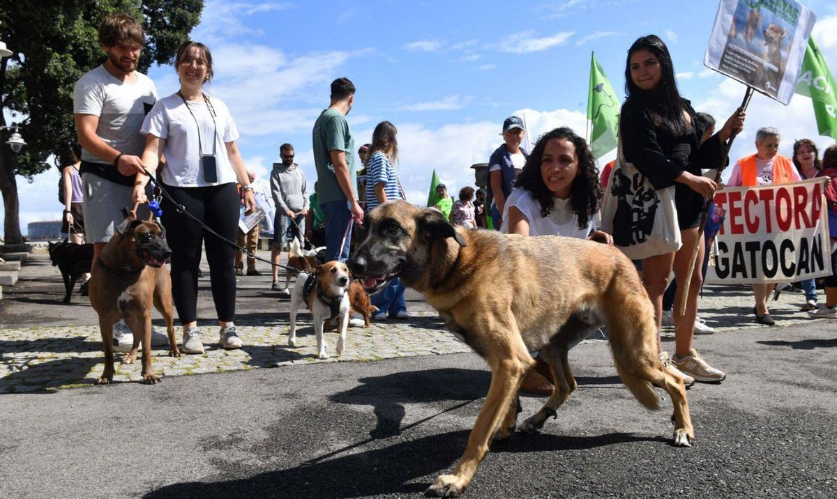 Playas para todos, también para perros. El partido animalista Pacma convocó ayer una marcha reivindicativa por el paseo marítimo, desde Las Esclavas hasta la fuente de Los Surfistas, para que dueños de perros con sus mascotas reclamasen la habilitación de playas para los canes. El Concello, según una ordenanza que aún no está en vigor, ha reservado para esta función la cala de Bens, pero no está acondicionada. | VÍCTOR ECHAVE