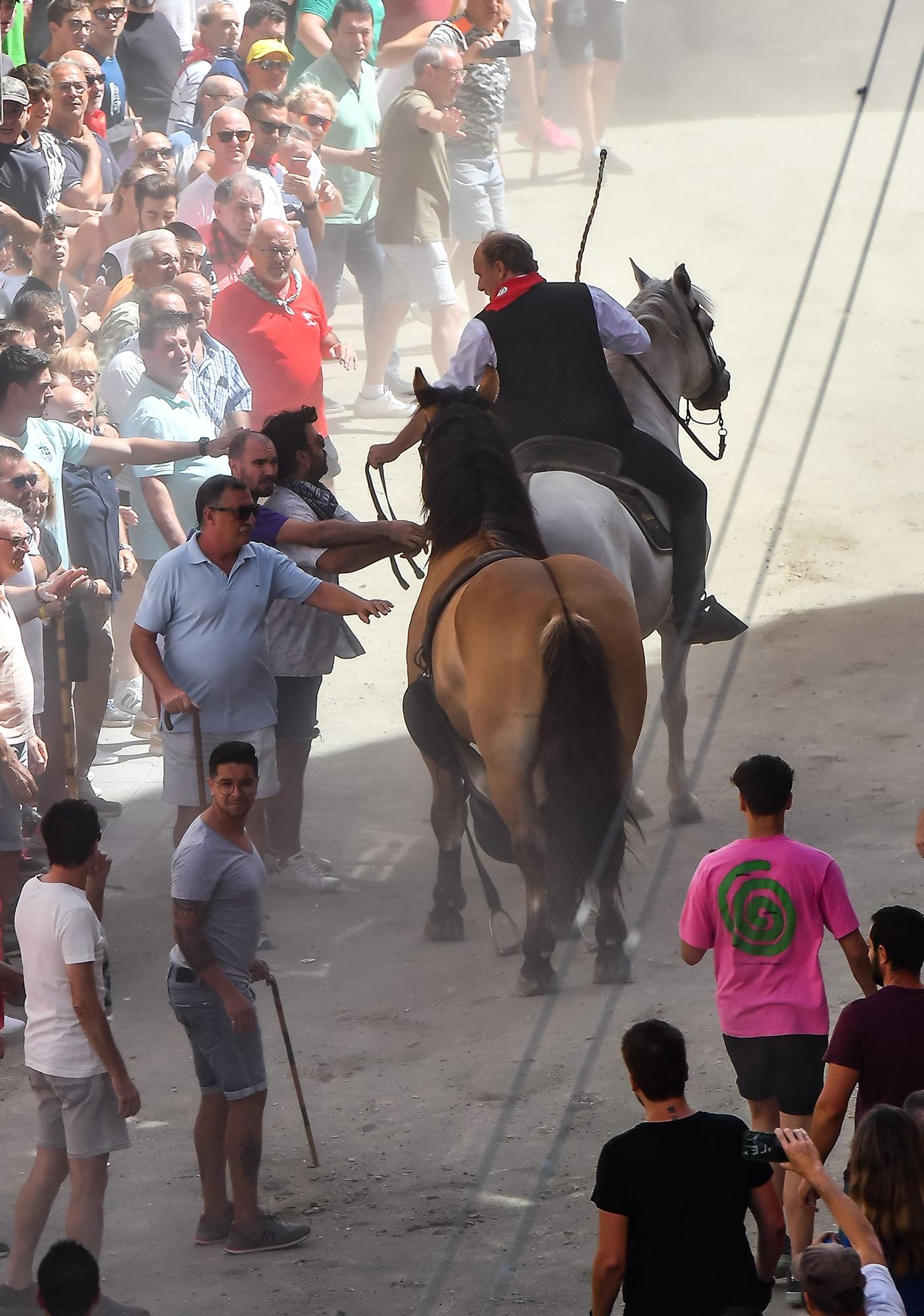 Las mejores fotos de la tercera Entrada de Toros y Caballos de Segorbe