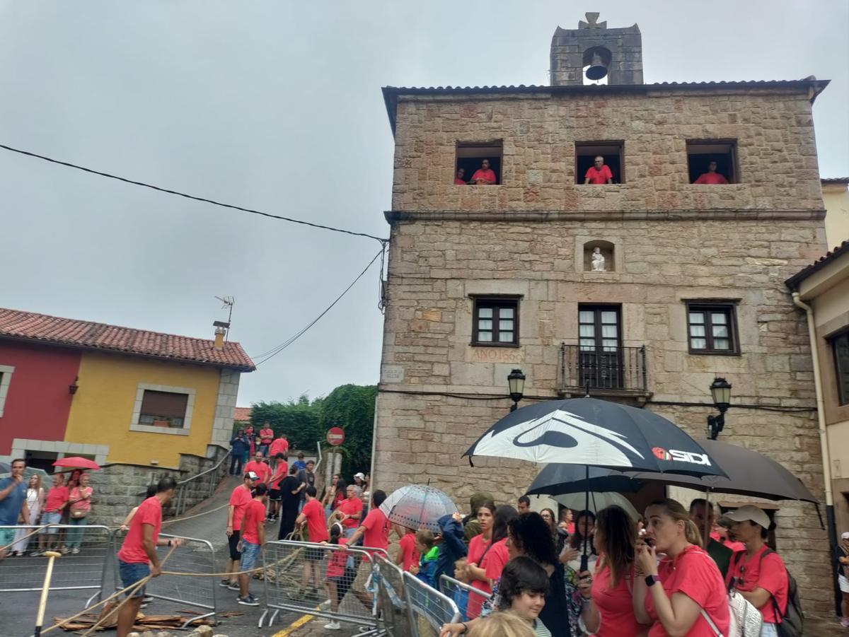 Celoriu planta la hoguera