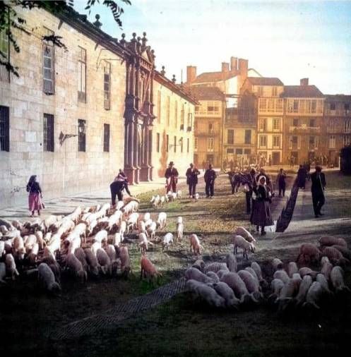 1915. En la imagen podemos ver cómo los ganaderos paseaban sus animales por delante del actual Instituto Rosalía de Castro