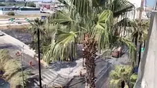 Un incendio en un solar lleno de maleza se propaga por 40 palmeras y corta un acceso principal a Alzira durante horas