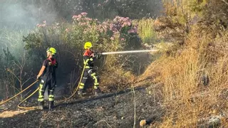Un fuego calcina unos pastos en el Parque de Levante, cerca del poblado chabolista