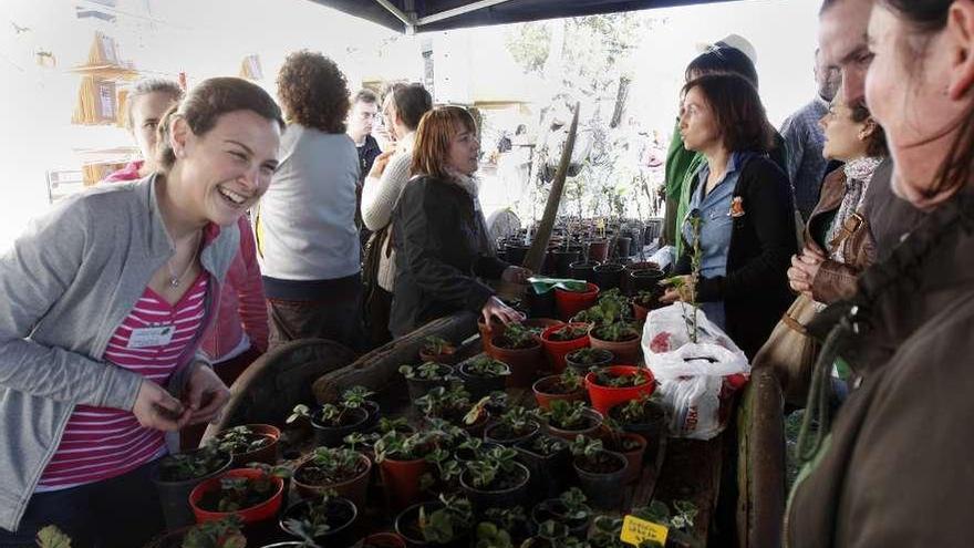 Imagen de la pasada edición de la Feira de Sementes e Plantón Ecolóxicos de Leboso.  // Bernabé