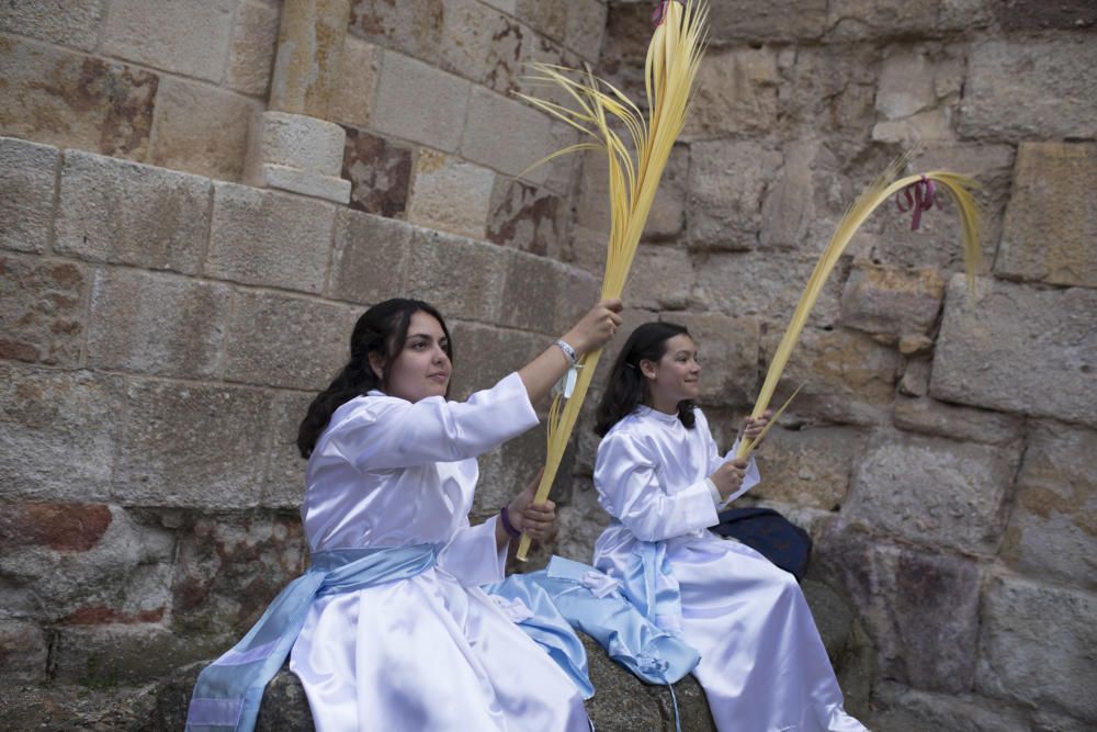 Semana Santa en la provincia 2019 | Procesión de L