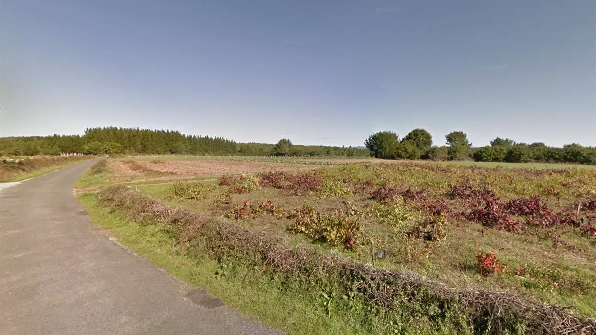 Encuentran muerto a un ciclista en una pista forestal de Monforte de Lemos