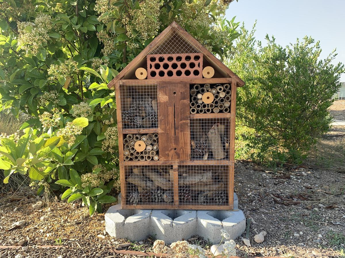 El "hotel" para insectos y que polinicen las flores que impulsa la UMHD