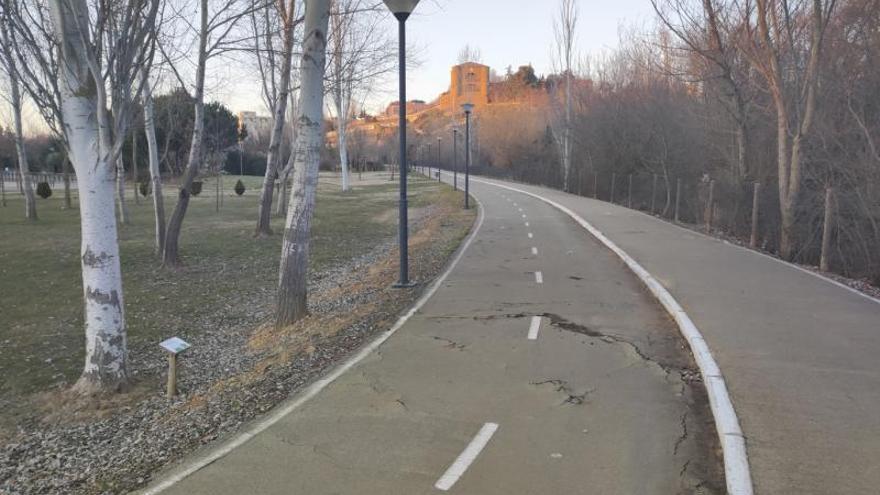 Detalle del estado del carril bici en un tramo del Prado de las Pavas.